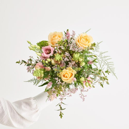 Velkommen til teamet!